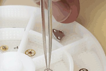 上海劳力士表官方售后维修地点地址